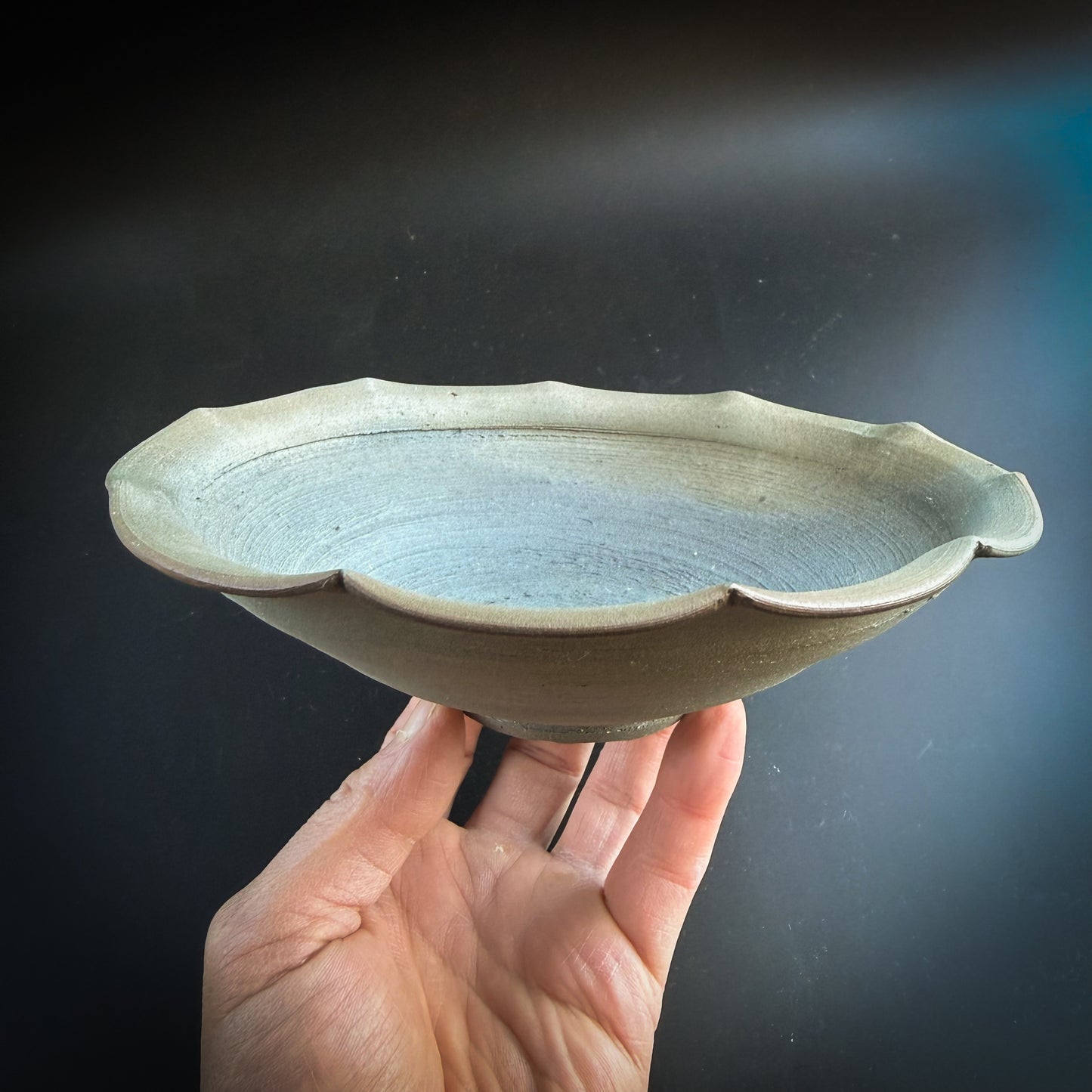 野口悦士 輪花皿