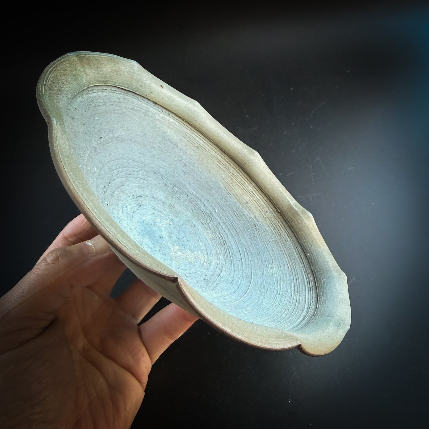 野口悦士  輪花皿